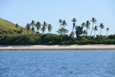 DSC_0903.JPG