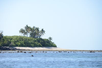 DSC_0904.JPG