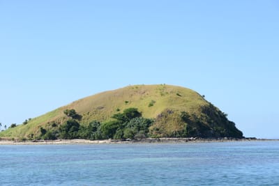 DSC_0905.JPG