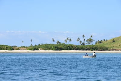 DSC_0906.JPG