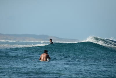 DSC_0249.JPG