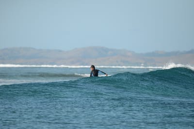 DSC_0253.JPG