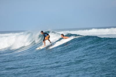 DSC_0273.JPG
