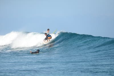 DSC_0306.JPG
