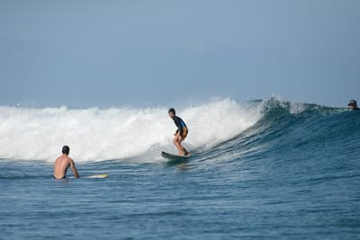 DSC_0310.JPG