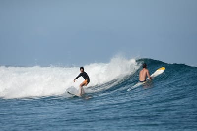 DSC_0313.JPG