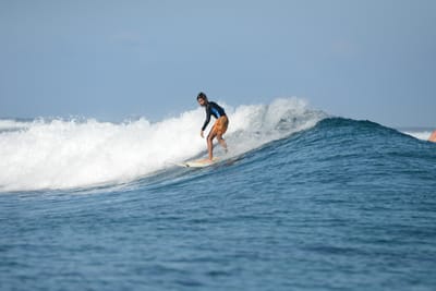 DSC_0317.JPG