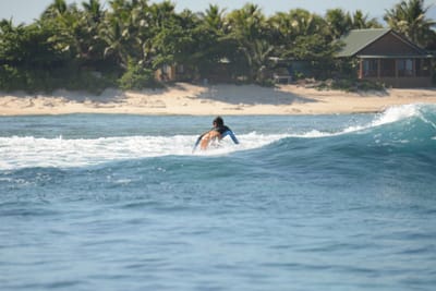 DSC_0390.JPG