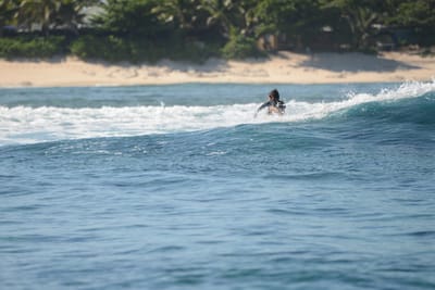 DSC_0391.JPG