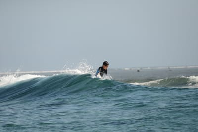 DSC_0850.JPG
