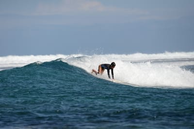 DSC_0867.JPG
