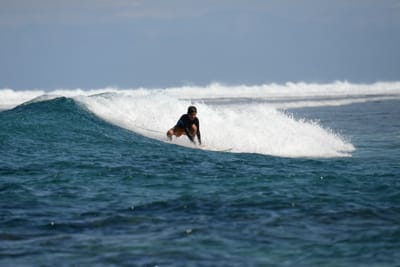 DSC_0868.JPG