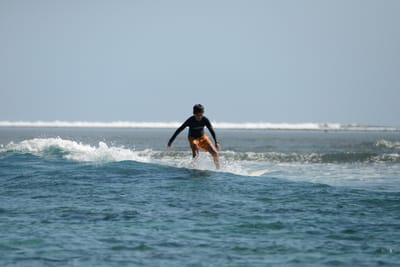 DSC_0884.JPG