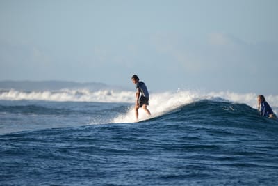 DSC_0913.JPG