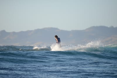 DSC_0919.JPG