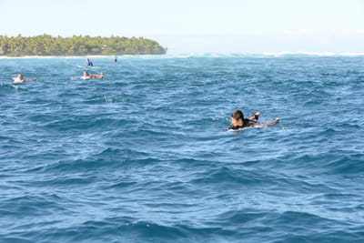 DSC_0959.JPG