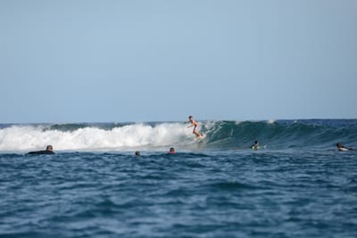 DSC_1046.JPG
