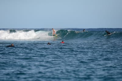 DSC_1047.JPG