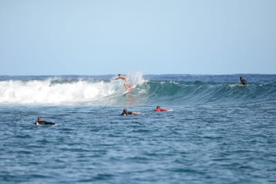 DSC_1048.JPG