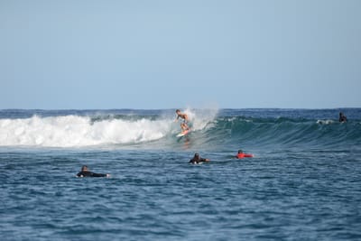 DSC_1049.JPG