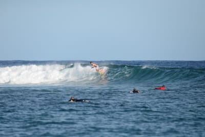 DSC_1050.JPG