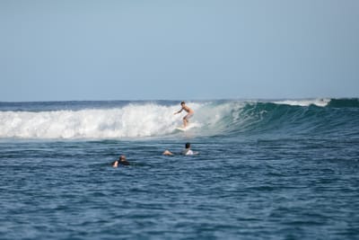 DSC_1052.JPG
