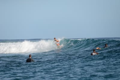 DSC_1054.JPG