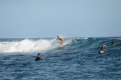 DSC_1055.JPG