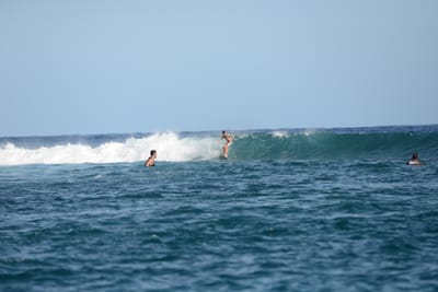 DSC_1133.JPG