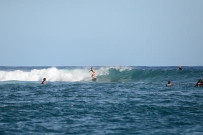 DSC_1134.JPG