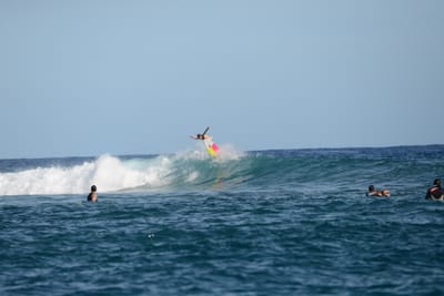 DSC_1137.JPG