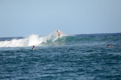 DSC_1140.JPG
