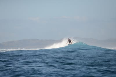 DSC_0953.JPG