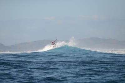 DSC_0954.JPG