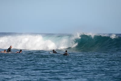DSC_0964.JPG