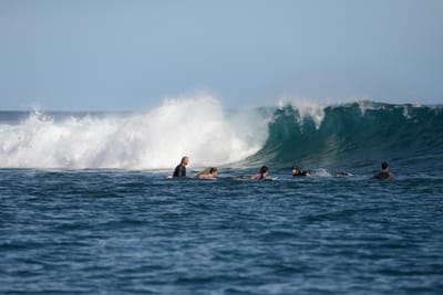 DSC_0965.JPG