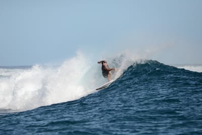 DSC_0985.JPG