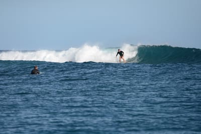 DSC_1017.JPG