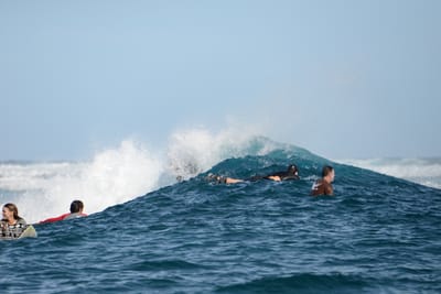 DSC_1041.JPG