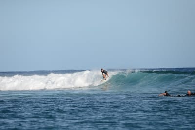 DSC_1042.JPG