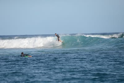 DSC_1043.JPG