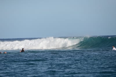 DSC_1044.JPG