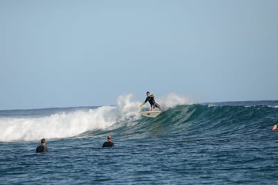 DSC_1065.JPG