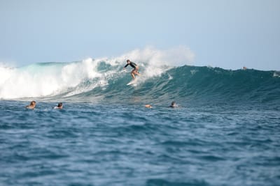 DSC_1084.JPG