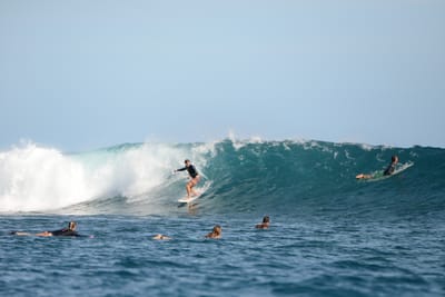 DSC_1086.JPG