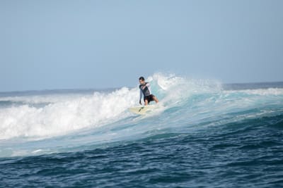 DSC_1100.JPG