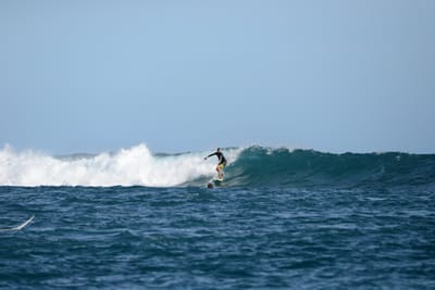 DSC_1109.JPG