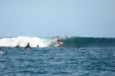 DSC_1144.JPG