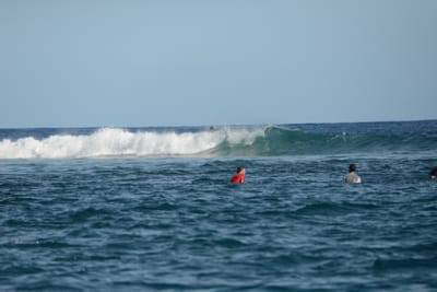DSC_1164.JPG