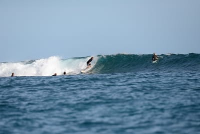 DSC_1165.JPG